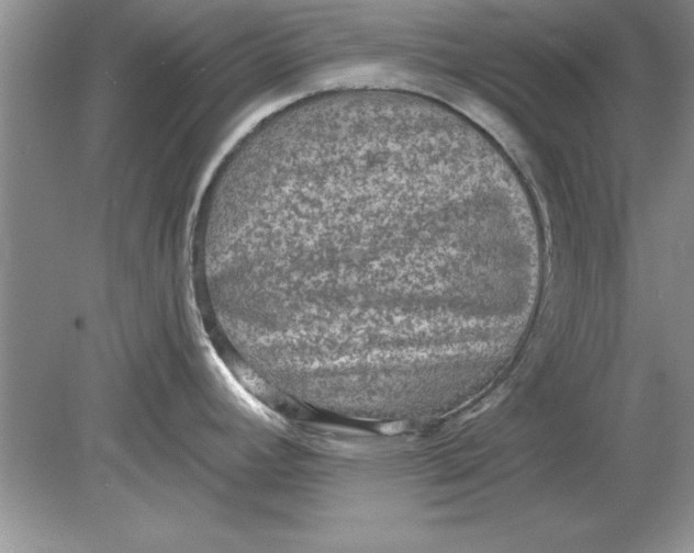 X0000078871392200612041947