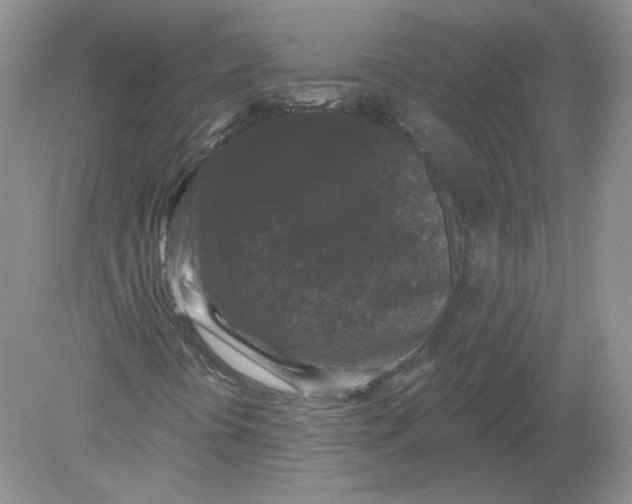 X0000078871394200612041946