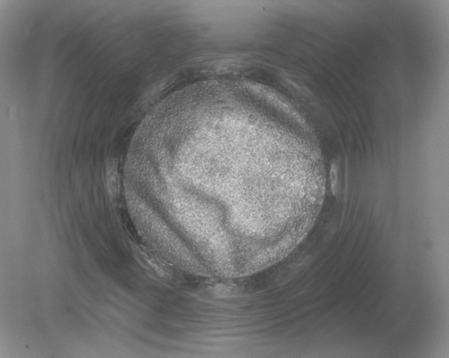 X0000078871395200612041946