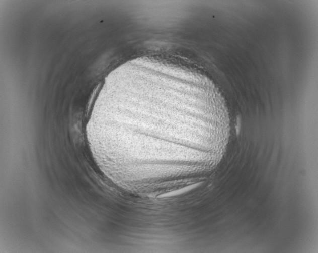 X0000078871396200612041946