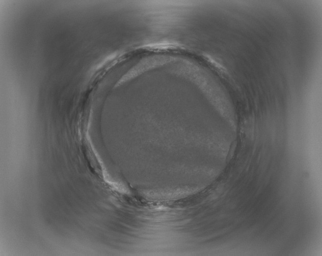 X0000078871398200612041946