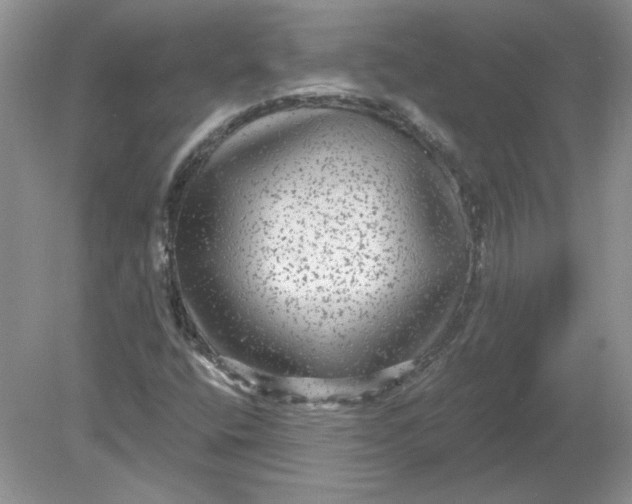 X0000078871400200612041946