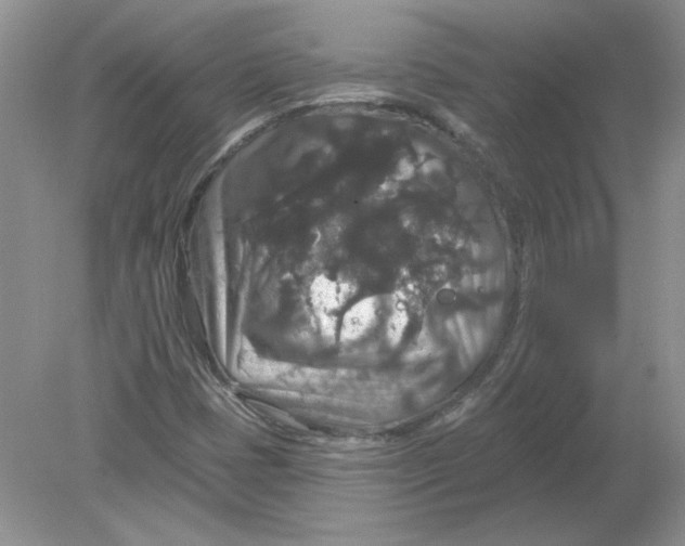 X0000078871401200612041946