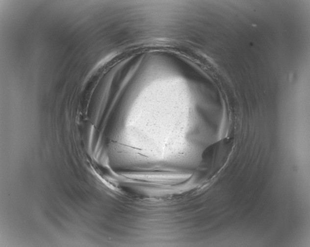 X0000078871402200612041946