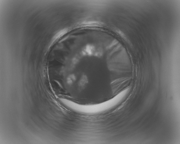 X0000078871405200612041946