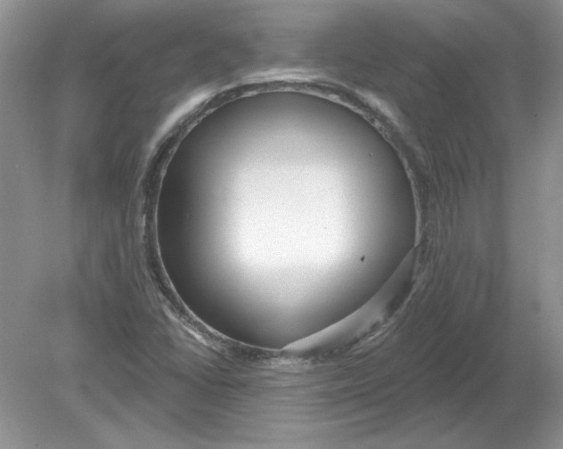 X0000078871406200612041946