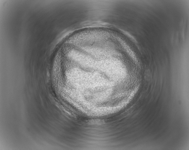 X0000078871407200612041946