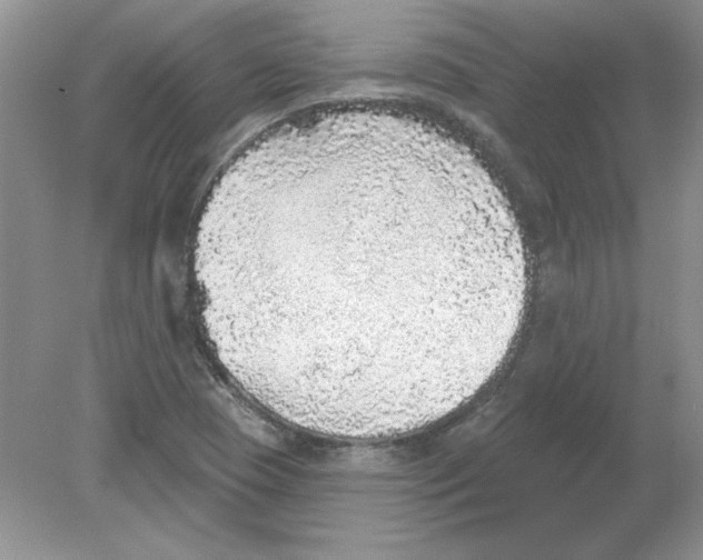 X0000078871409200612041946