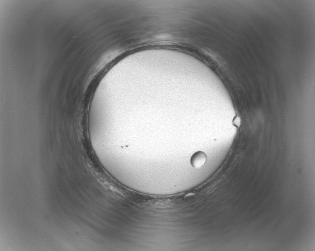 X0000078871410200612041946