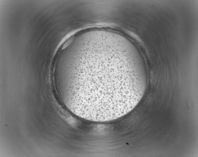 X0000078871412200612041946