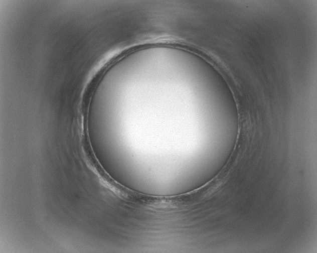 X0000078871414200612041946