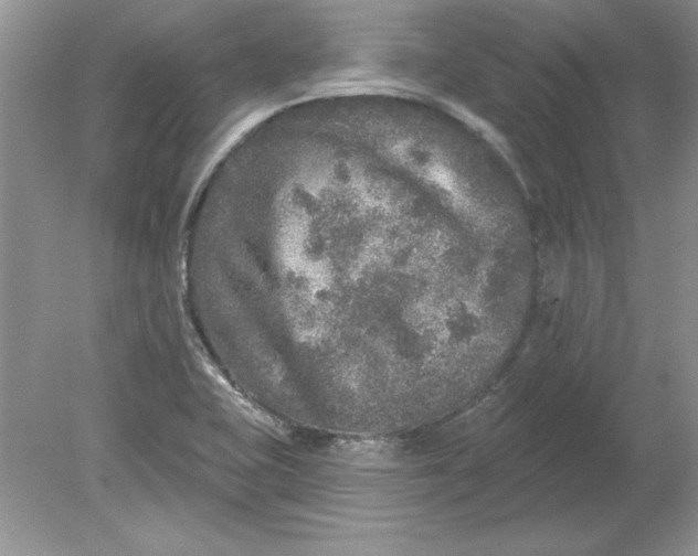 X0000078871415200612041946