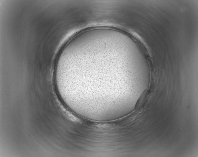 X0000078871416200612041946