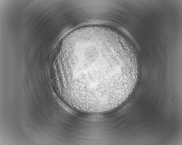 X0000078871417200612041946