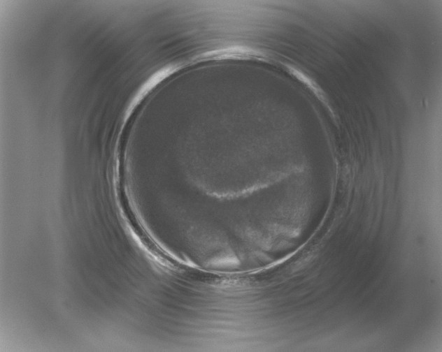 X0000078871418200612041946