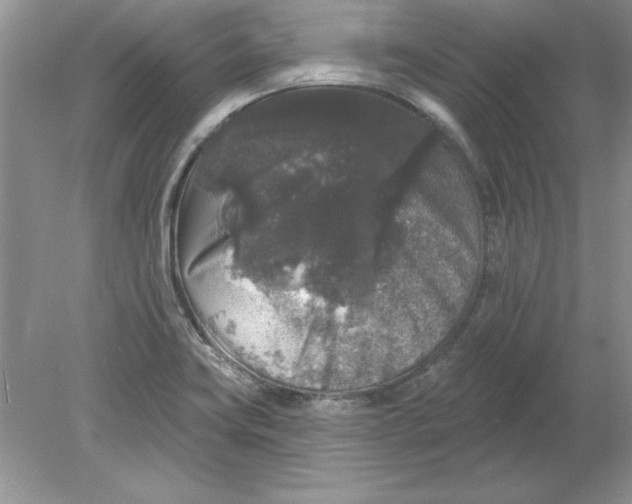 X0000078871419200612041946