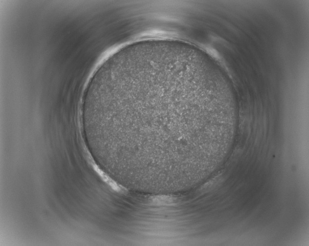 X0000078871421200612041946