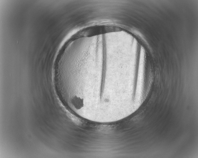 X0000078871424200612041946