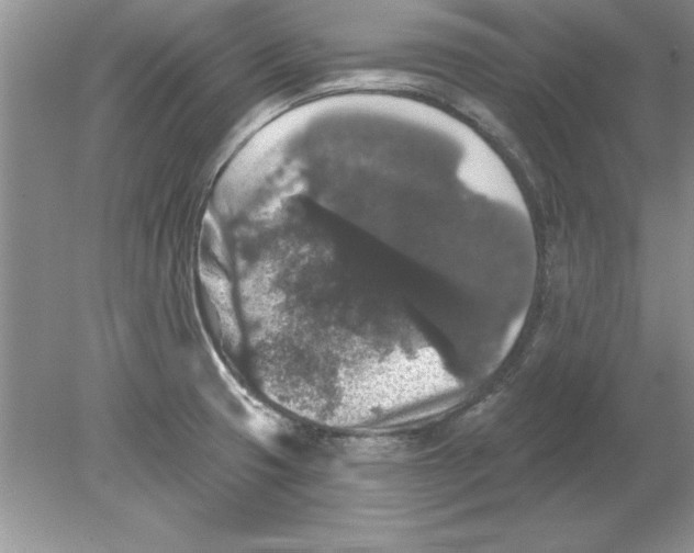 X0000078871425200612041946