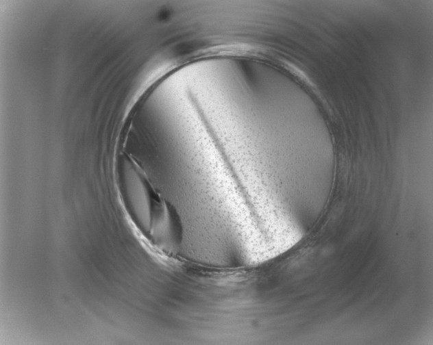 X0000078871426200612041946