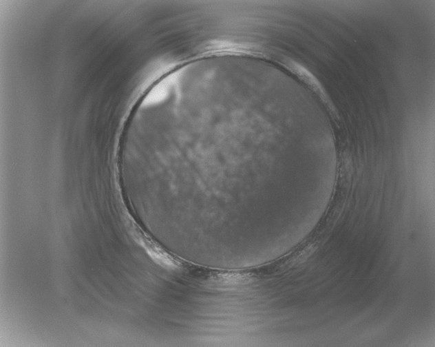 X0000078871427200612041946