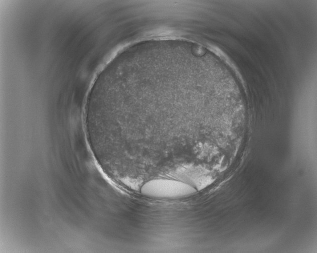 X0000078871429200612041946