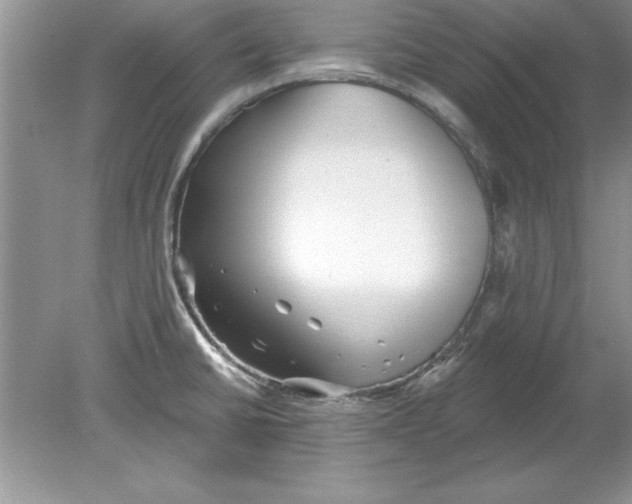 X0000078871430200612041946