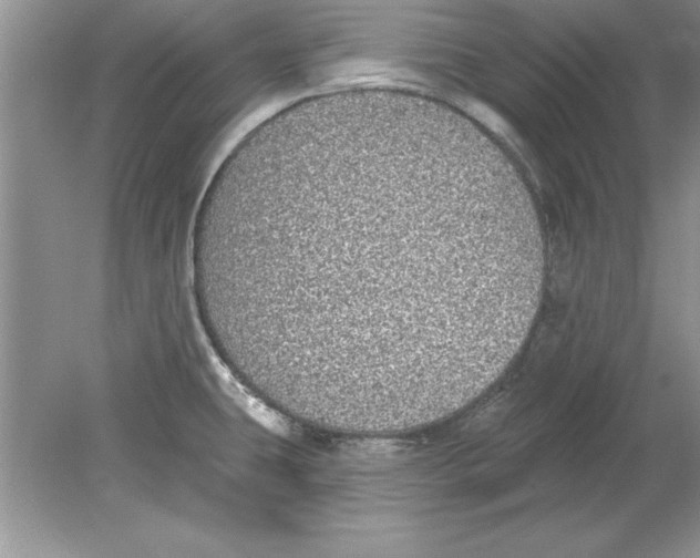 X0000078871431200612041946