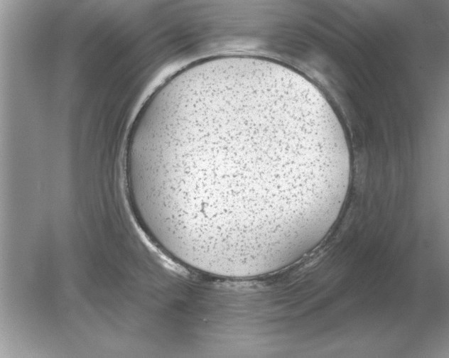 X0000078871432200612041946