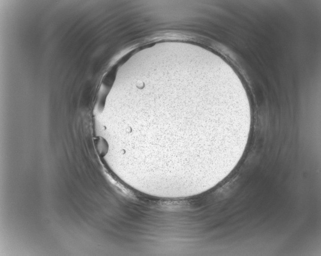 X0000078871433200612041946