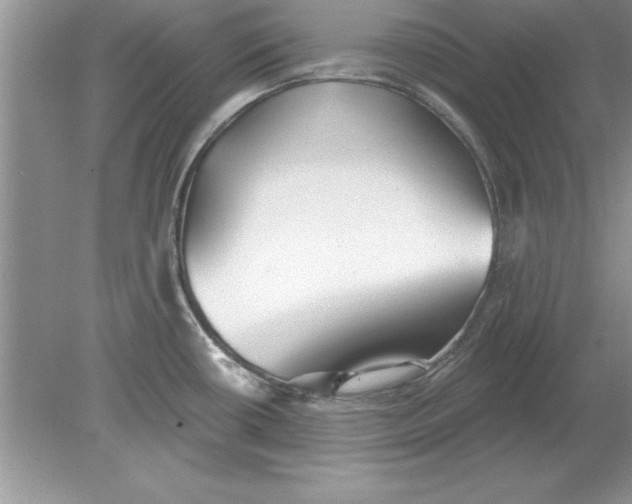 X0000078871434200612041946