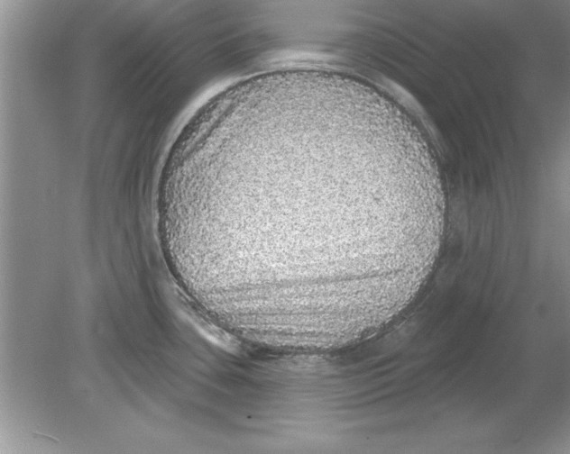 X0000078871435200612041946