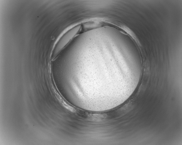 X0000078871436200612041946