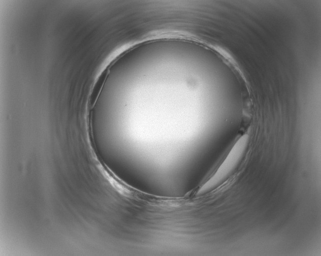 X0000078871438200612041947