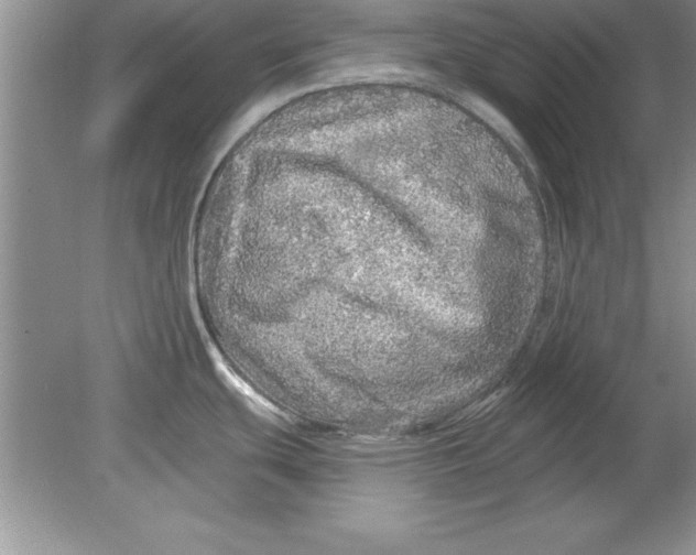 X0000078871439200612041947