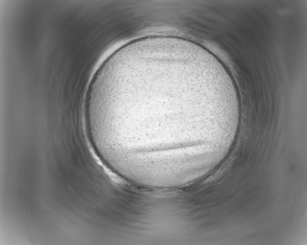 X0000078871440200612041947