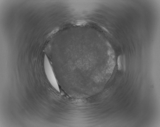 X0000078871443200612041946