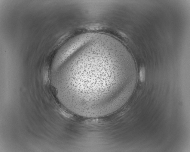 X0000078871444200612041946