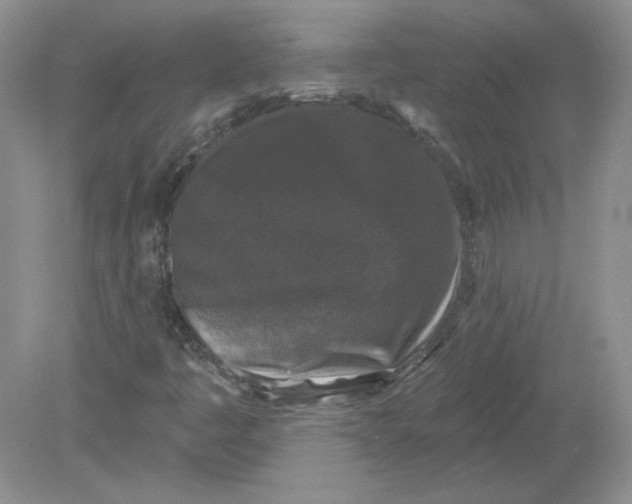 X0000078871445200612041946