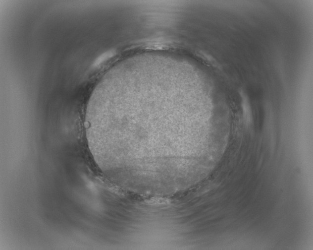 X0000078871446200612041946