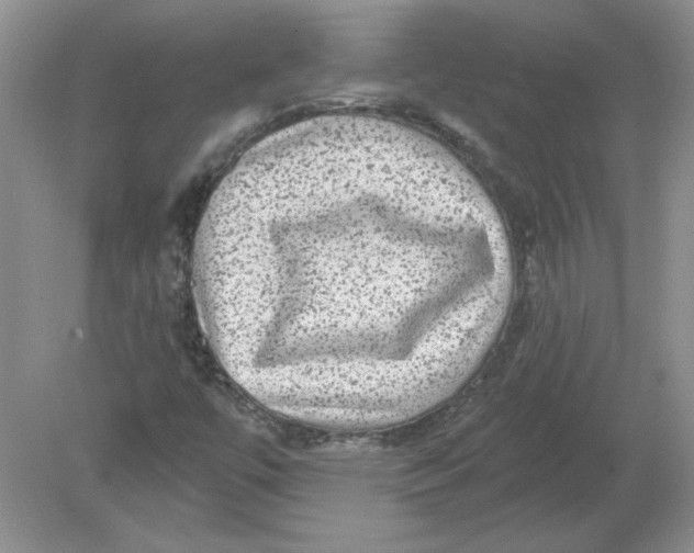 X0000078871447200612041946