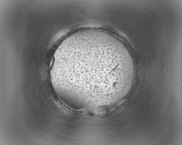 X0000078871448200612041946