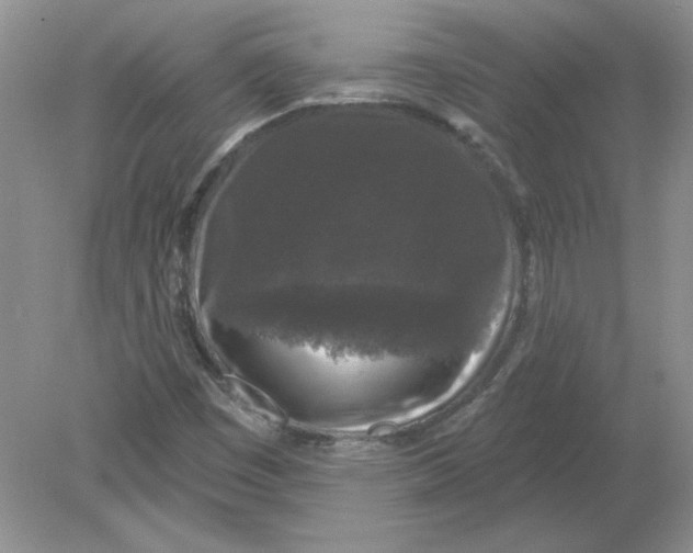 X0000078871449200612041946