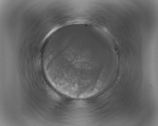 X0000078871450200612041946