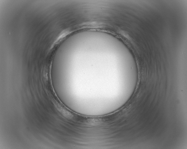 X0000078871451200612041946