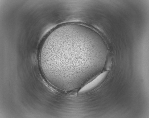 X0000078871452200612041946