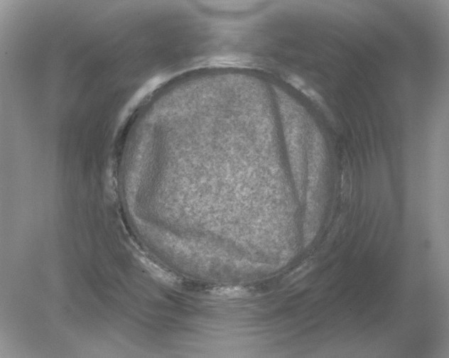 X0000078871454200612041946