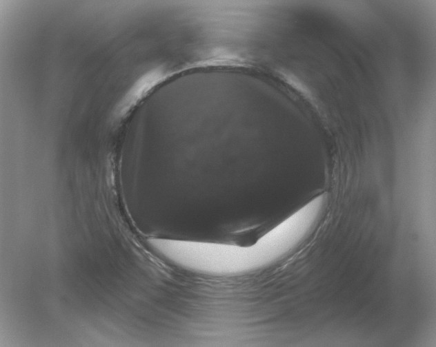 X0000078871455200612041946