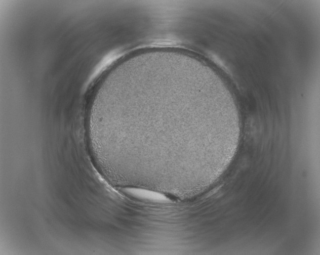 X0000078871456200612041945