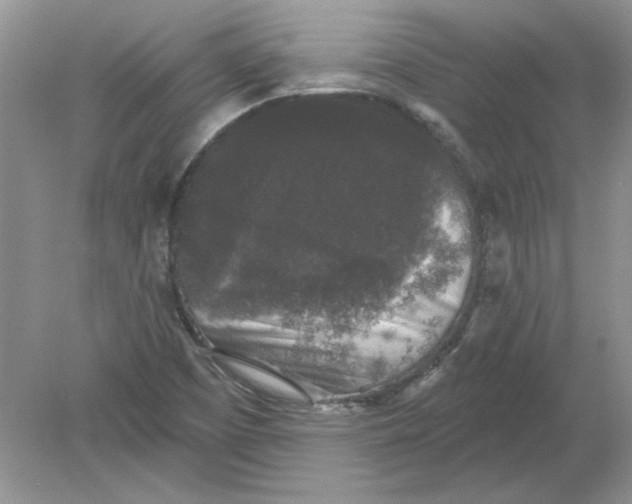 X0000078871457200612041945